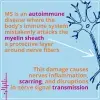 Definition of Multiple Sclerosis