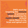 How DMTs work