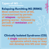 Type of MS