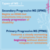 Type of MS