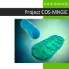 COS-MNGIE Final list of outcomes