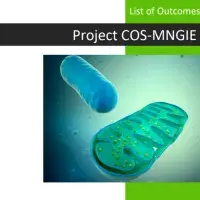 COS-MNGIE Final list of outcomes